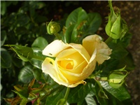 1b02f53b-Picture 295.jpg